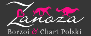 Zanoza Borzoi